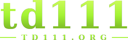 td111 logo